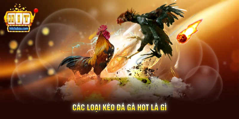 Các Loại Kèo Đá Gà Hot Được Nhiều Người Quan Tâm Trên Hitclub 2 Các Loại Kèo Đá Gà Hot Là Gì