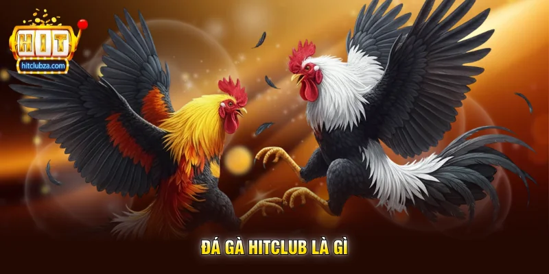Đá Gà Hitclub Là Gì