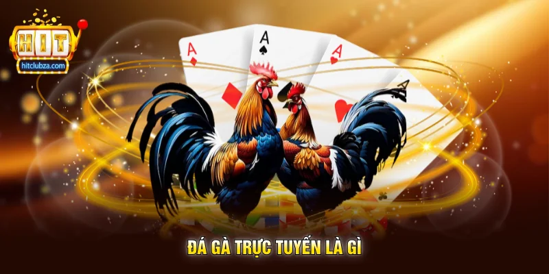 Đá Gà Trực Tuyến Sân Chơi Giải Trí Kịch Tính Được Nhiều Người Yêu Thích 6 Đá Gà Trực Tuyến Là Gì