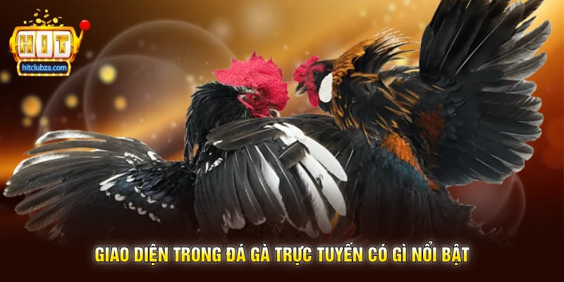 Đá Gà Trực Tuyến Sân Chơi Giải Trí Kịch Tính Được Nhiều Người Yêu Thích 3 Giao Diện Trong Đá Gà Trực Tuyến Có Gì Nổi Bật