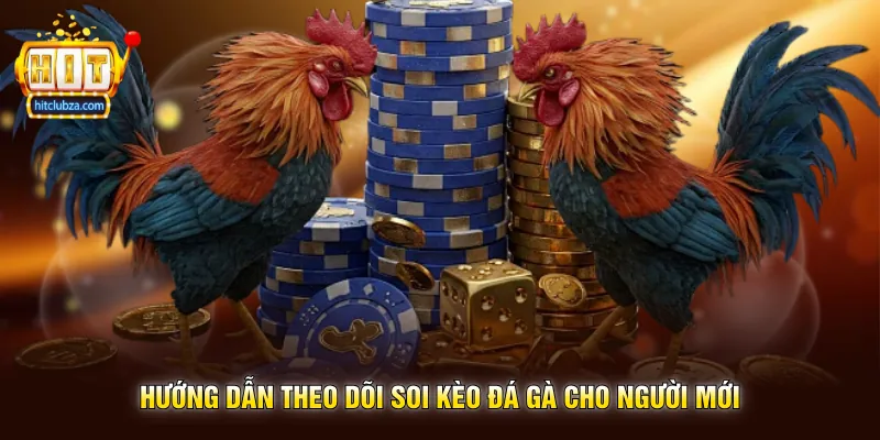 Soi Kèo Đá Gà Kinh Nghiệm Được Nhiều Người Quan Tâm Trên Hitclub 2 Hướng Dẫn Theo Dõi Soi Kèo Đá Gà Cho Người Mới