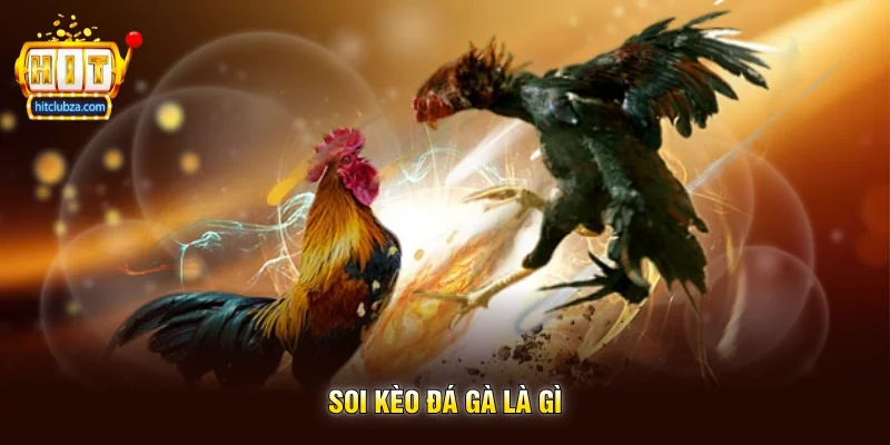 Soi Kèo Đá Gà Kinh Nghiệm Được Nhiều Người Quan Tâm Trên Hitclub 1 Soi Kèo Đá Gà Là Gì