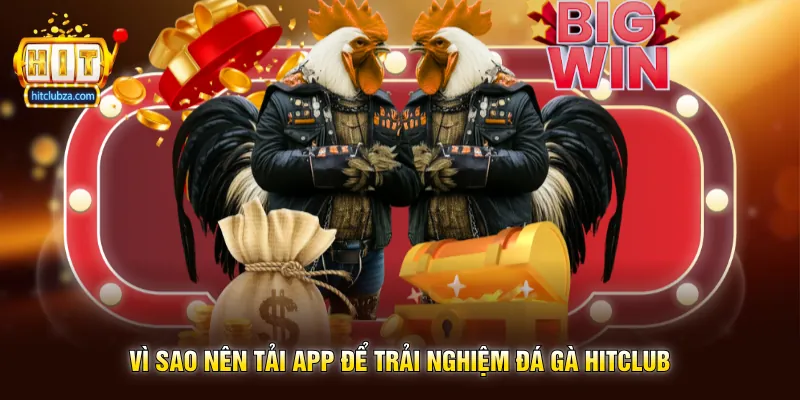 Vì Sao Nên Tải App Để Trải Nghiệm Đá Gà Hitclub